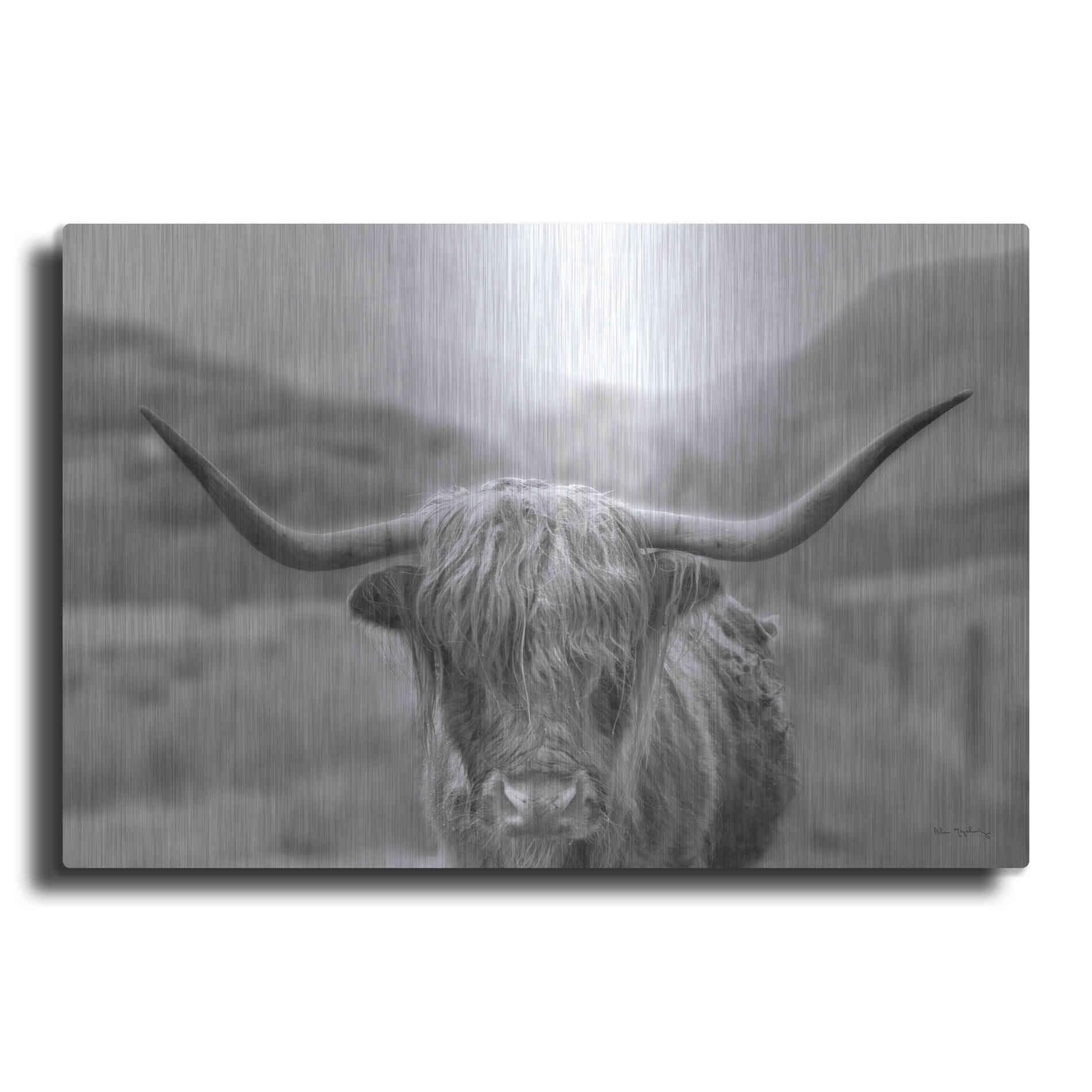 Luxe Metal Art 'Scottish Highland Cattle III Neutral Crop' by Alan Majchrowicz,Metal Wall Art