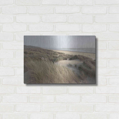 Luxe Metal Art 'Oregon Dunes' by Alan Majchrowicz,Metal Wall Art,24x16