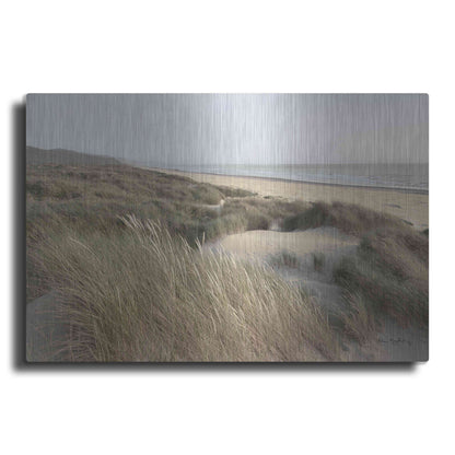 Luxe Metal Art 'Oregon Dunes' by Alan Majchrowicz,Metal Wall Art