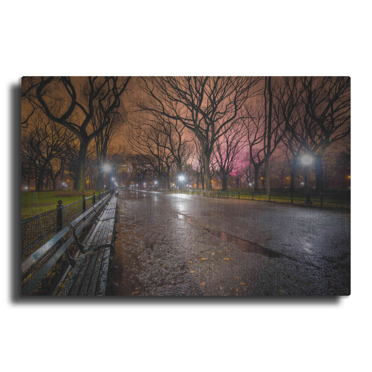 Luxe Metal Art 'The Crying Park' by Edin Chavez, Metal Wall Art