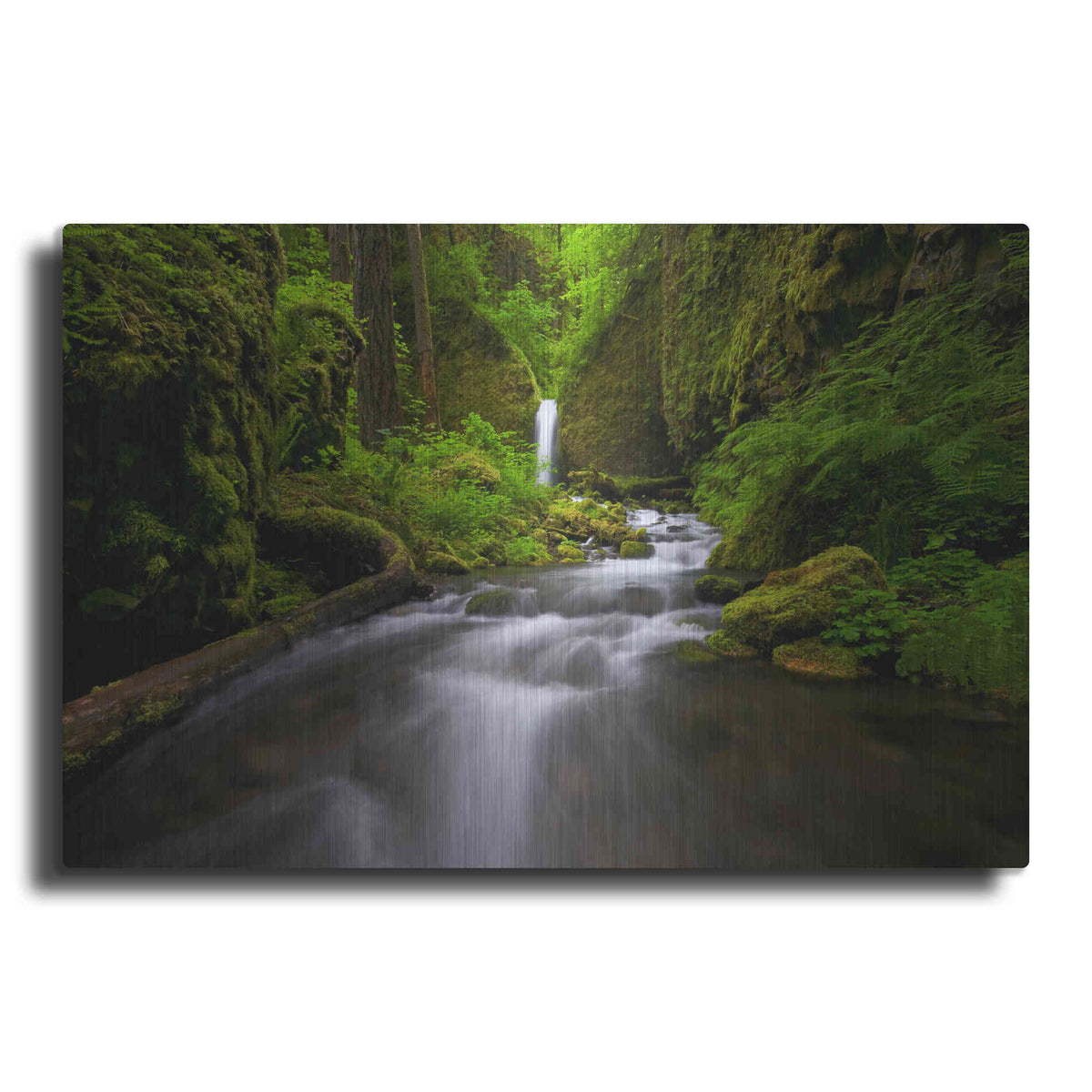 Luxe Metal Art 'Lushness' by Jesse Estes, Metal Wall Art
