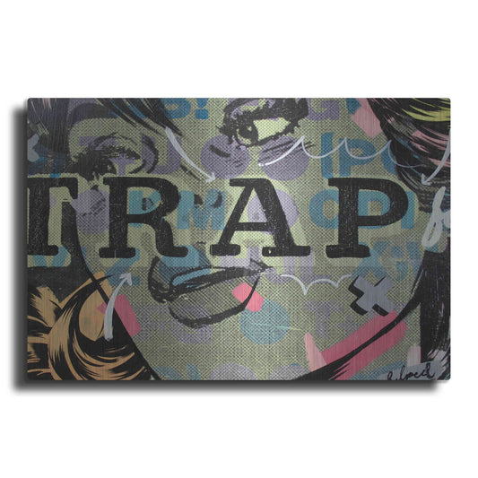 Luxe Metal Art 'Trap' by Dan Monteavaro, Metal Wall Art