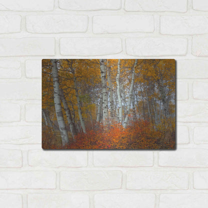 Luxe Metal Art 'Morning Aspens' by Jesse Estes, Metal Wall Art,16x12