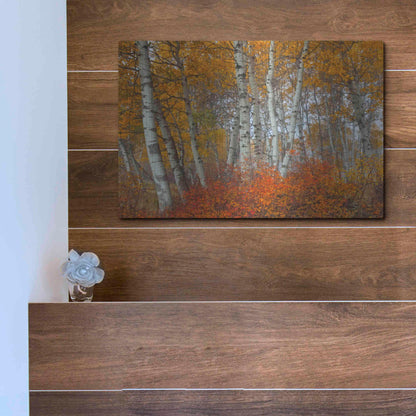 Luxe Metal Art 'Morning Aspens' by Jesse Estes, Metal Wall Art,16x12