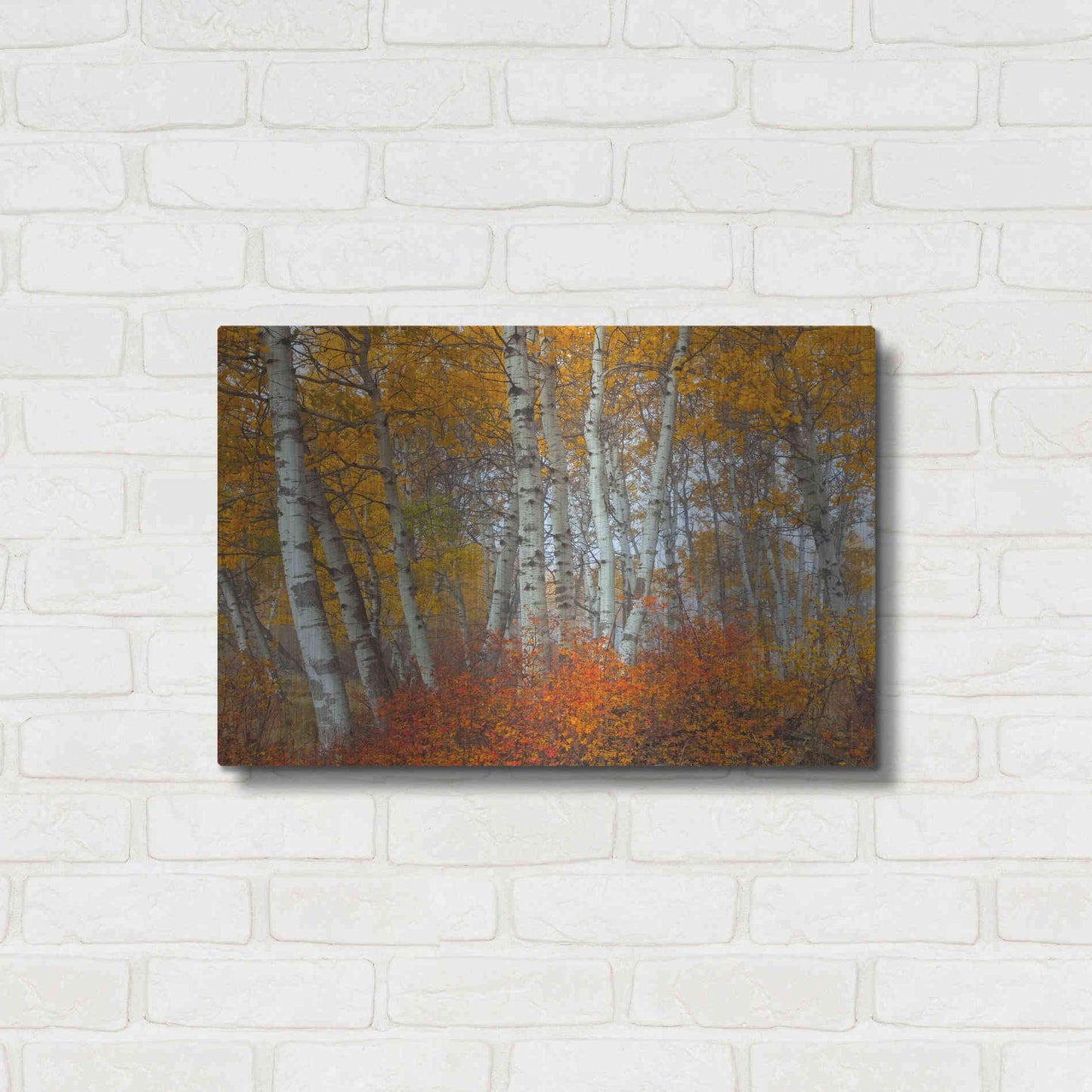 Luxe Metal Art 'Morning Aspens' by Jesse Estes, Metal Wall Art,24x16