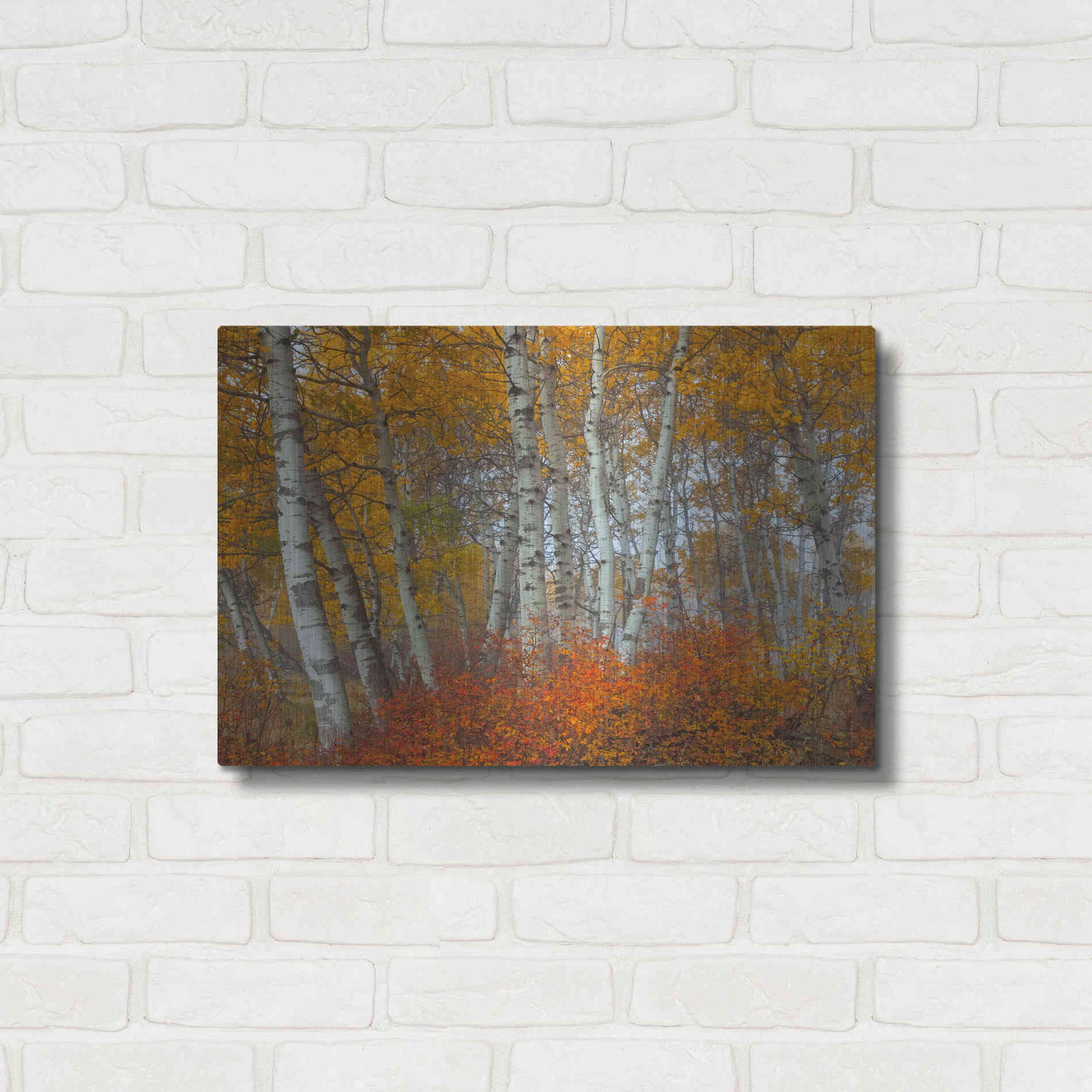 Luxe Metal Art 'Morning Aspens' by Jesse Estes, Metal Wall Art,24x16