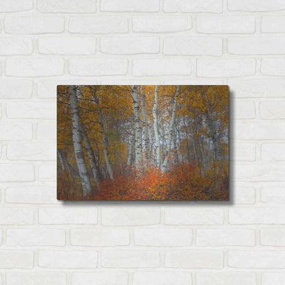 Luxe Metal Art 'Morning Aspens' by Jesse Estes, Metal Wall Art,24x16