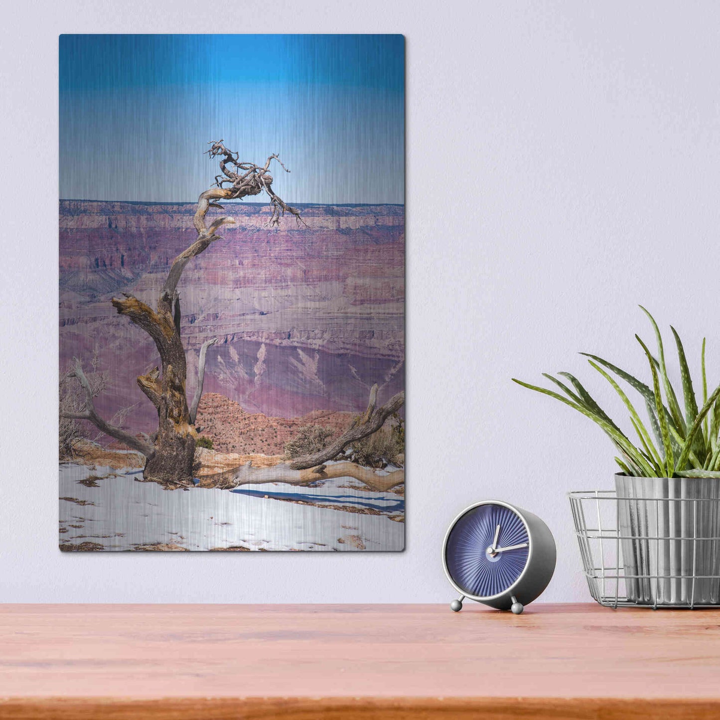 Luxe Metal Art ' Dead Tree In Grand Canyon II' by Robin Vandenabeele, Metal Wall Art,12x16