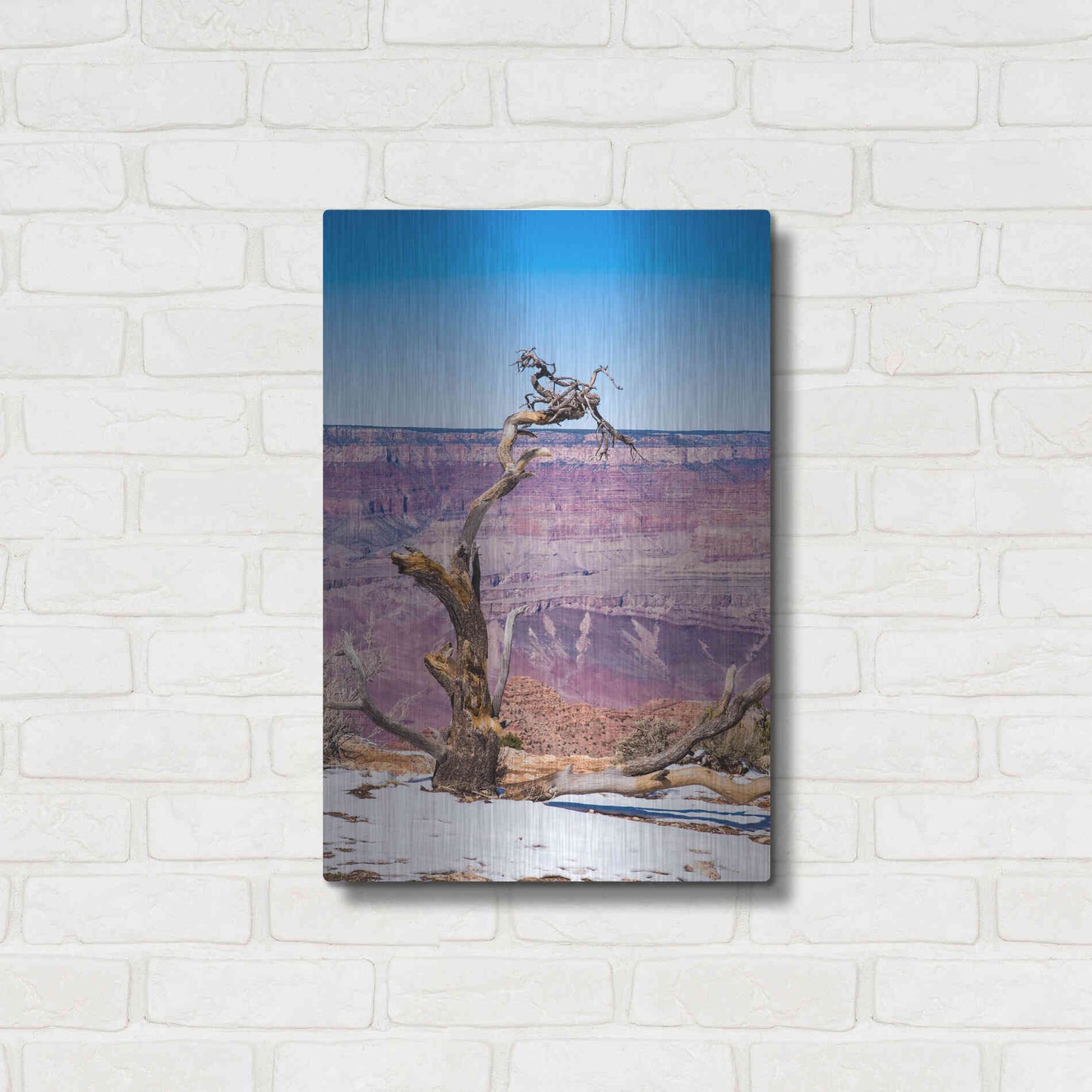 Luxe Metal Art ' Dead Tree In Grand Canyon II' by Robin Vandenabeele, Metal Wall Art,16x24