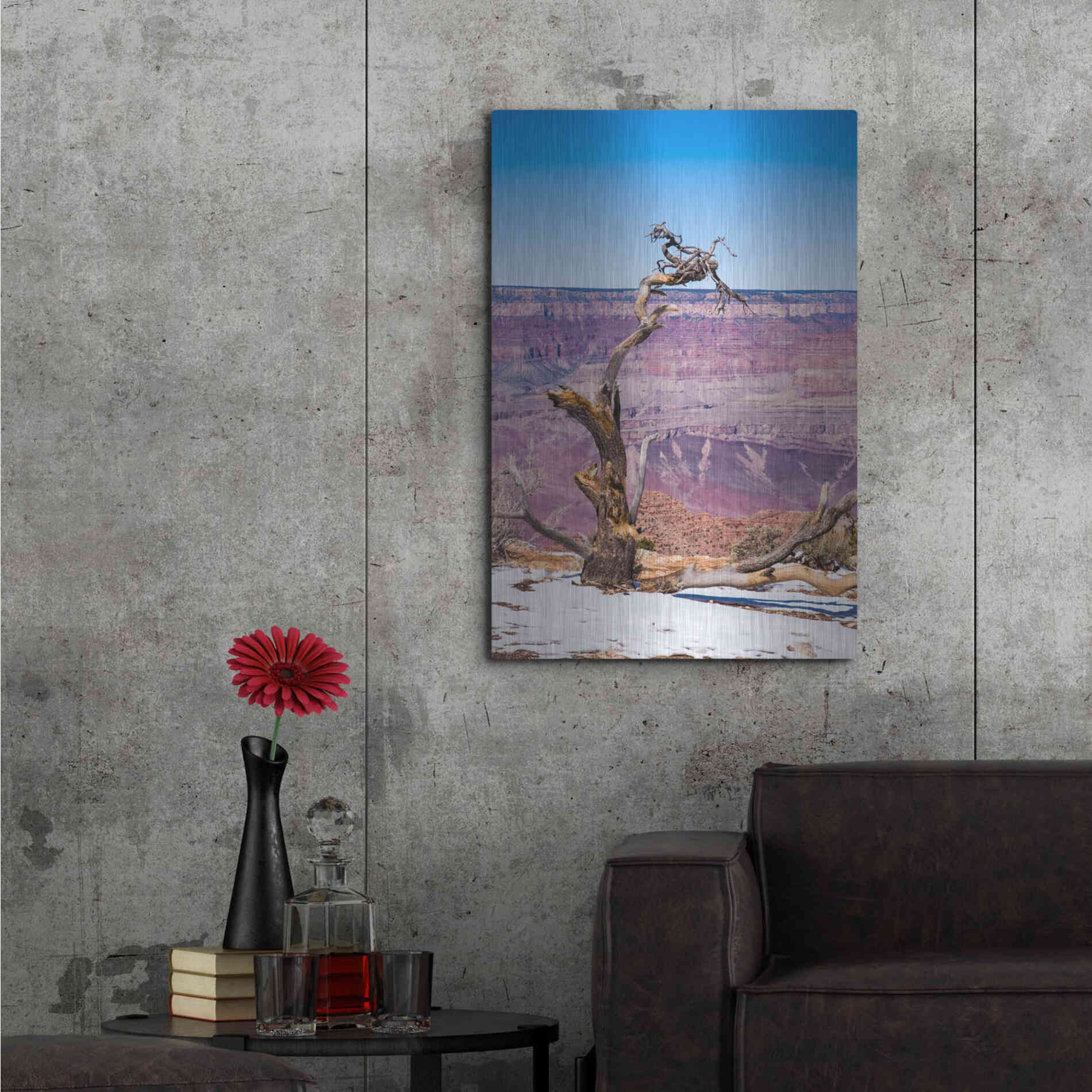 Luxe Metal Art ' Dead Tree In Grand Canyon II' by Robin Vandenabeele, Metal Wall Art,24x36