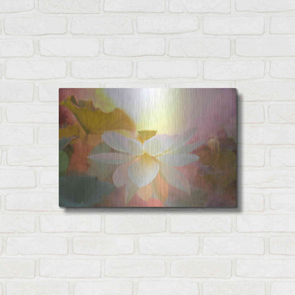 Luxe Metal Art 'Arise' by Bahman Farzad, Metal Wall Art,24x16