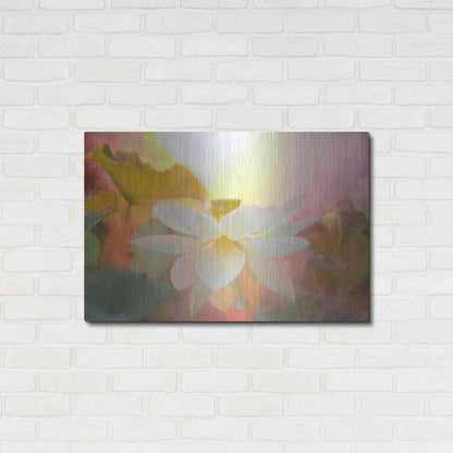 Luxe Metal Art 'Arise' by Bahman Farzad, Metal Wall Art,36x24