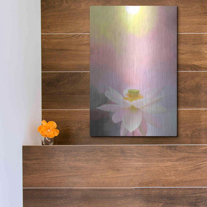 Luxe Metal Art 'Beauty at Dawn' by Bahman Farzad, Metal Wall Art,12x16