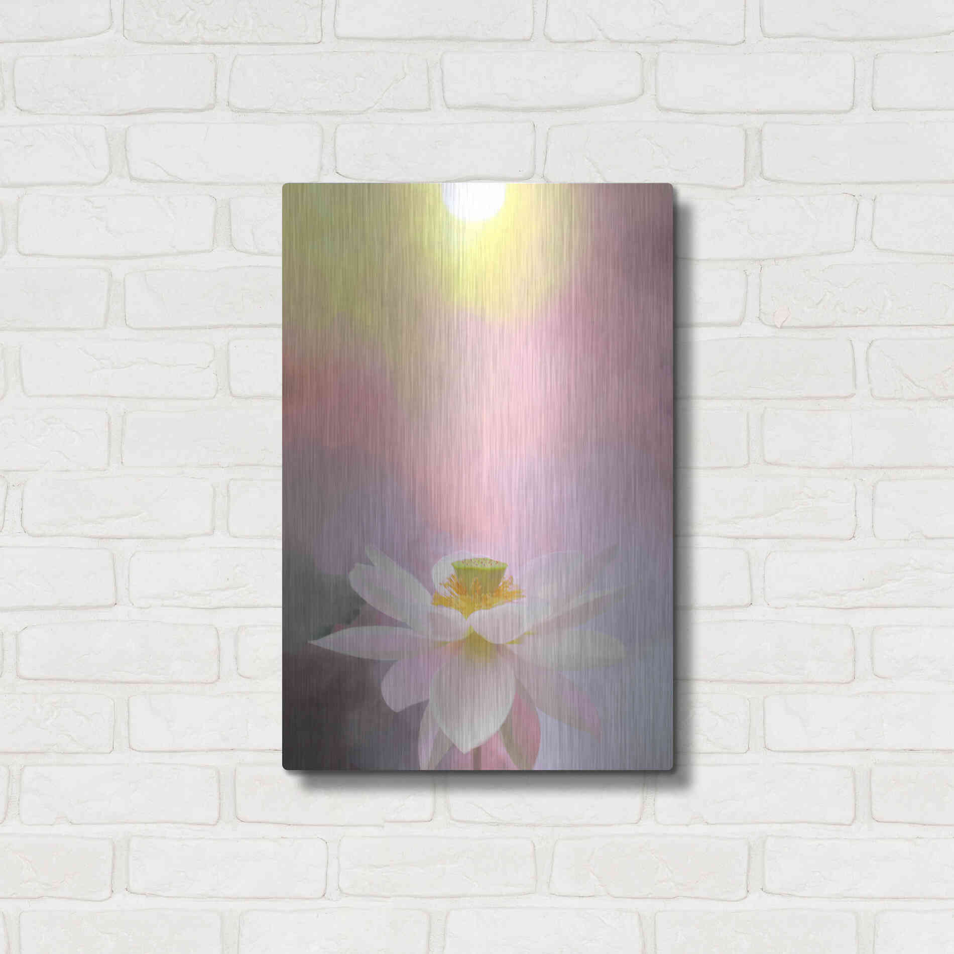 Luxe Metal Art 'Beauty at Dawn' by Bahman Farzad, Metal Wall Art,16x24