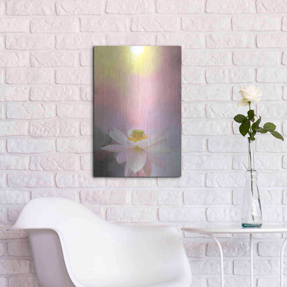 Luxe Metal Art 'Beauty at Dawn' by Bahman Farzad, Metal Wall Art,16x24