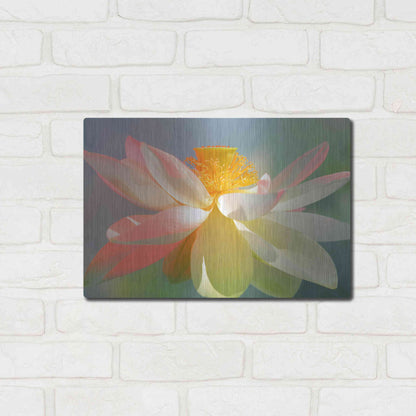 Luxe Metal Art 'Dancing Queen' by Bahman Farzad, Metal Wall Art,16x12