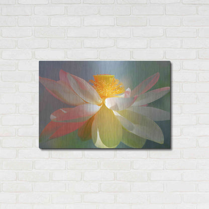 Luxe Metal Art 'Dancing Queen' by Bahman Farzad, Metal Wall Art,36x24