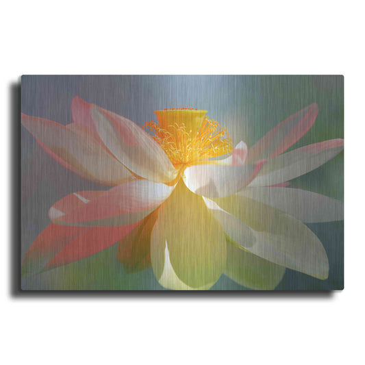 Luxe Metal Art 'Dancing Queen' by Bahman Farzad, Metal Wall Art