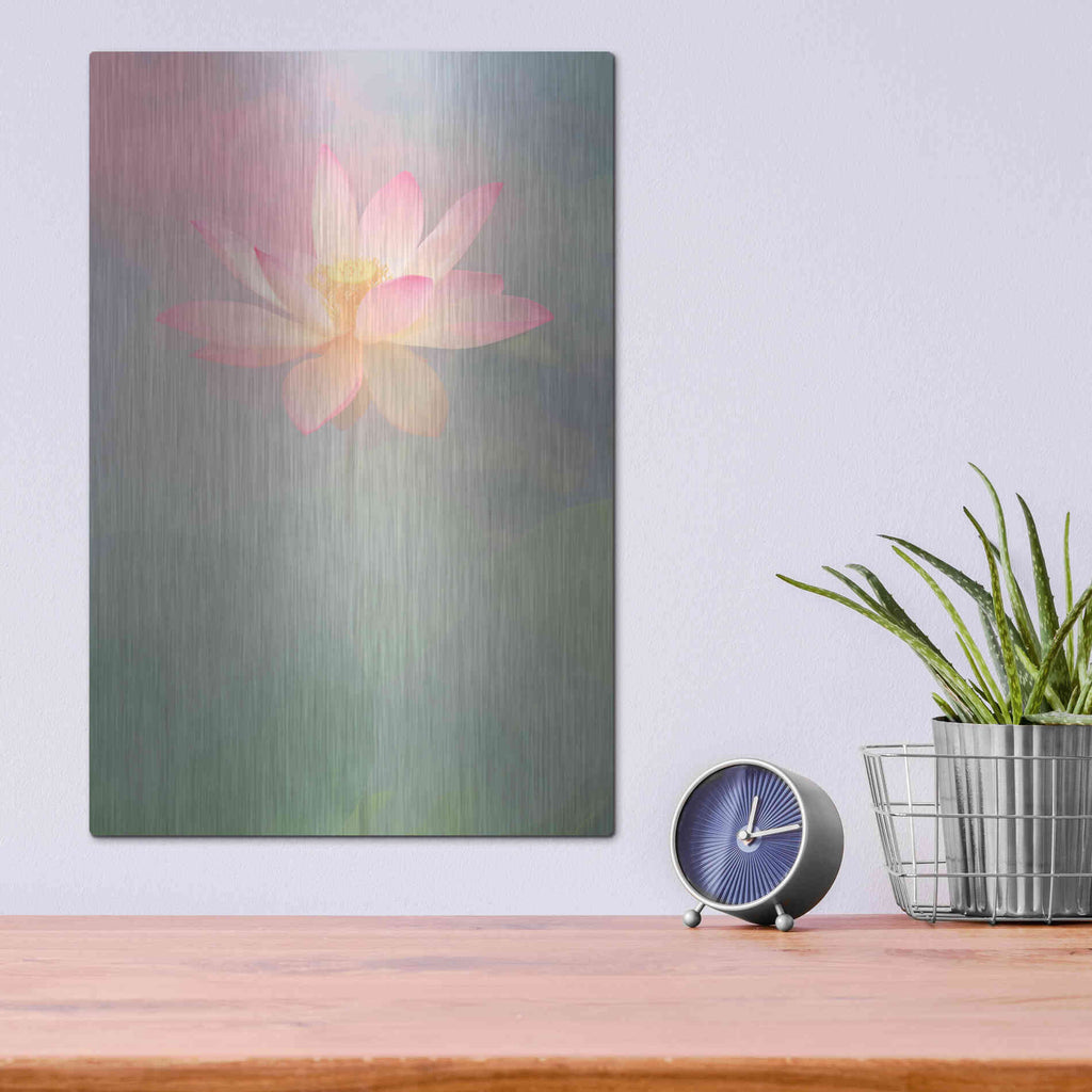 Luxe Metal Art 'Pink Passion' by Bahman Farzad, Metal Wall Art,12x16