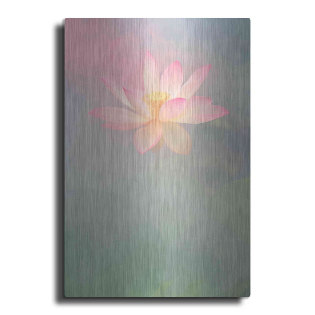 Luxe Metal Art 'Pink Passion' by Bahman Farzad, Metal Wall Art