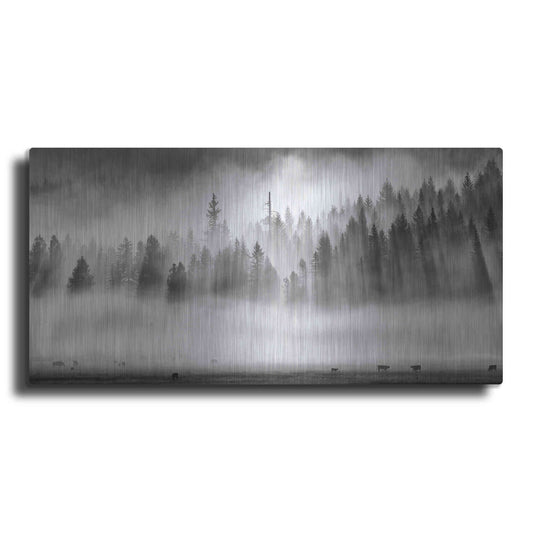 Luxe Metal Art 'Roaming In The Mist' by Jesse Estes, Metal Wall Art