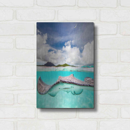 Luxe Metal Art 'Stingray' by Jesse Estes, Metal Wall Art,12x16