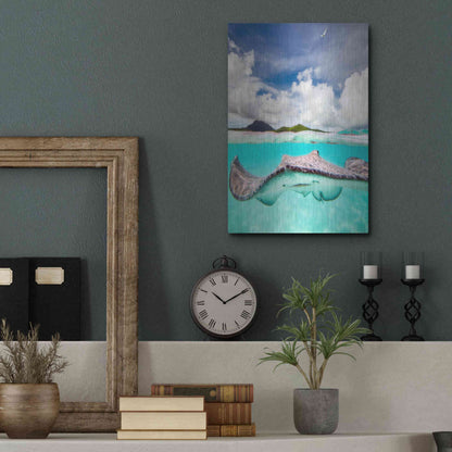 Luxe Metal Art 'Stingray' by Jesse Estes, Metal Wall Art,12x16