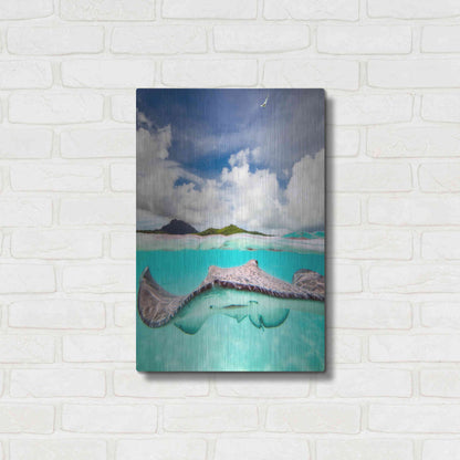 Luxe Metal Art 'Stingray' by Jesse Estes, Metal Wall Art,16x24