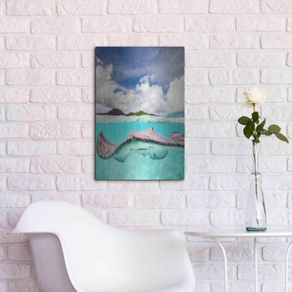 Luxe Metal Art 'Stingray' by Jesse Estes, Metal Wall Art,16x24