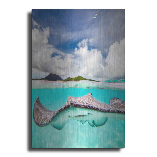 Luxe Metal Art 'Stingray' by Jesse Estes, Metal Wall Art