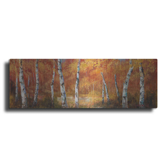 Luxe Metal Art 'Autumn Birch I' by Art Fronckowiak, Metal Wall Art