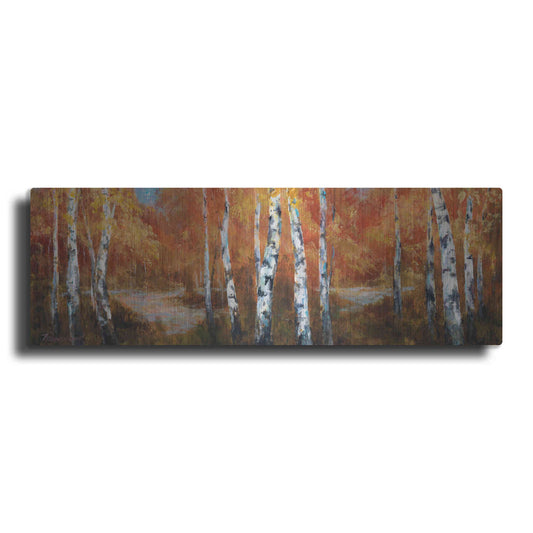 Luxe Metal Art 'Autumn Birch II' by Art Fronckowiak, Metal Wall Art