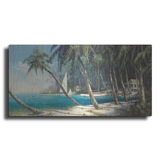 Luxe Metal Art 'Bali Cove' by Art Fronckowiak, Metal Wall Art