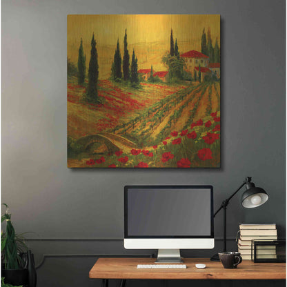 Luxe Metal Art 'Poppies of Toscano I' by Art Fronckowiak, Metal Wall Art,36x36