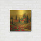 Luxe Metal Art 'Poppies of Toscano II' by Art Fronckowiak, Metal Wall Art,24x24