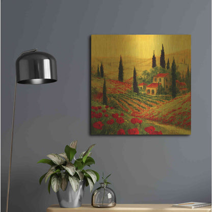 Luxe Metal Art 'Poppies of Toscano II' by Art Fronckowiak, Metal Wall Art,24x24