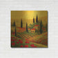 Luxe Metal Art 'Poppies of Toscano II' by Art Fronckowiak, Metal Wall Art,36x36