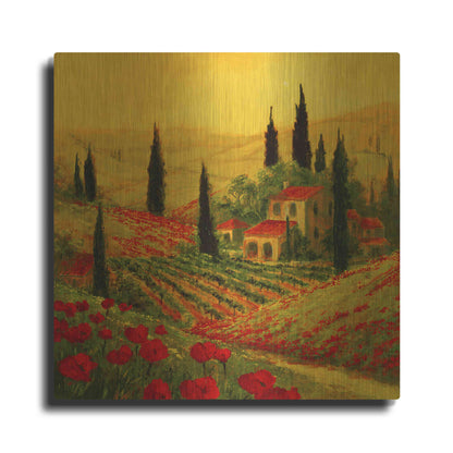 Luxe Metal Art 'Poppies of Toscano II' by Art Fronckowiak, Metal Wall Art