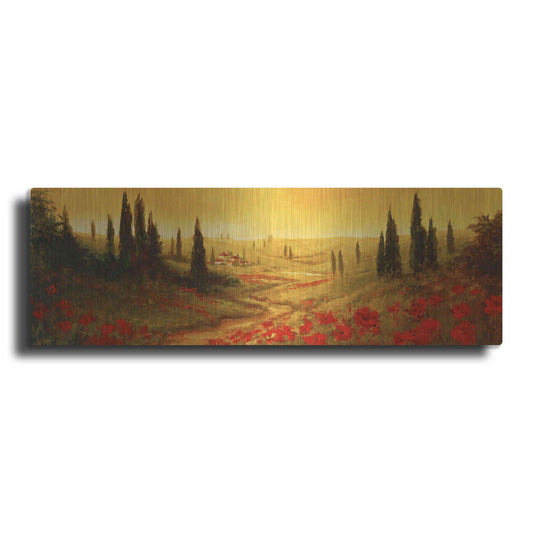 Luxe Metal Art 'Toscano Panel II' by Art Fronckowiak, Metal Wall Art