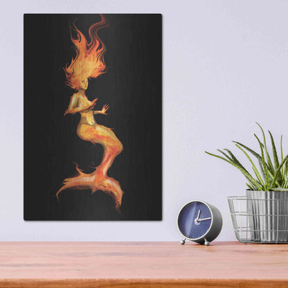 Luxe Metal Art 'Siren' by Michael StewArt, Metal Wall Art,12x16