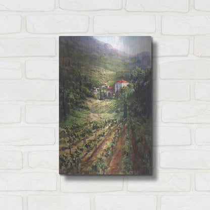 Luxe Metal Art 'Tuscany Vineyard' by Art Fronckowiak, Metal Wall Art,12x16