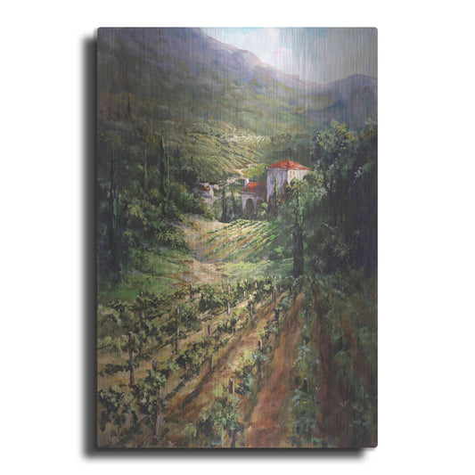 Luxe Metal Art 'Tuscany Vineyard' by Art Fronckowiak, Metal Wall Art