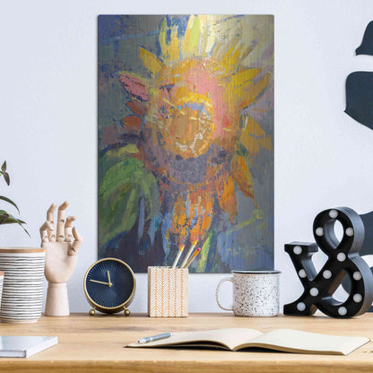 Luxe Metal Art 'Alberta' by Beth Forst, Metal Wall Art,12x16