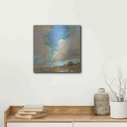 Luxe Metal Art 'Clouds Got in My Way' by Beth Forst, Metal Wall Art,12x12