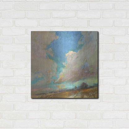 Luxe Metal Art 'Clouds Got in My Way' by Beth Forst, Metal Wall Art,24x24