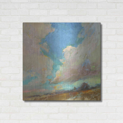 Luxe Metal Art 'Clouds Got in My Way' by Beth Forst, Metal Wall Art,36x36