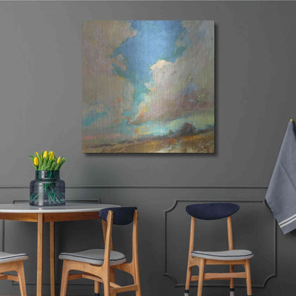 Luxe Metal Art 'Clouds Got in My Way' by Beth Forst, Metal Wall Art,36x36