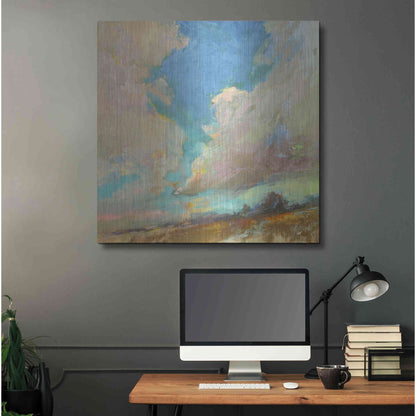 Luxe Metal Art 'Clouds Got in My Way' by Beth Forst, Metal Wall Art,36x36