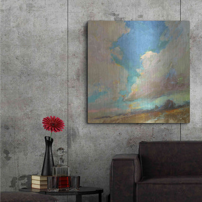 Luxe Metal Art 'Clouds Got in My Way' by Beth Forst, Metal Wall Art,36x36