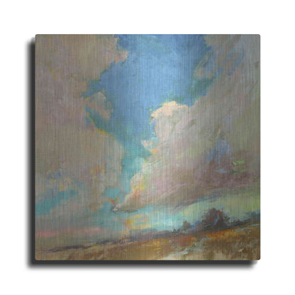 Luxe Metal Art 'Clouds Got in My Way' by Beth Forst, Metal Wall Art